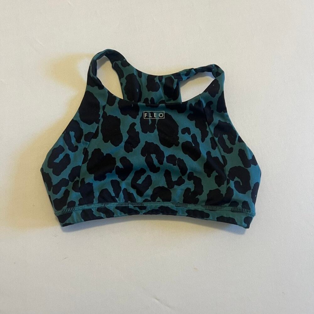 Fleo Jourdaine - Mediterranean Leopard x Maddy Forberg - Romey Free S